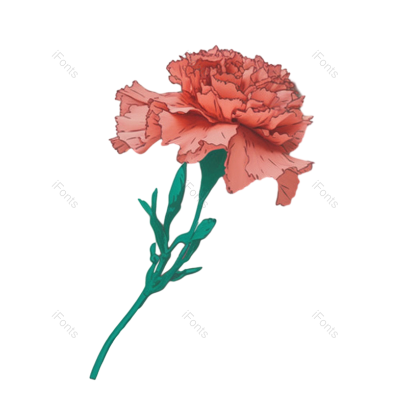 花朵背景图片,花朵素材元素,花朵边框PNG,免抠素材
